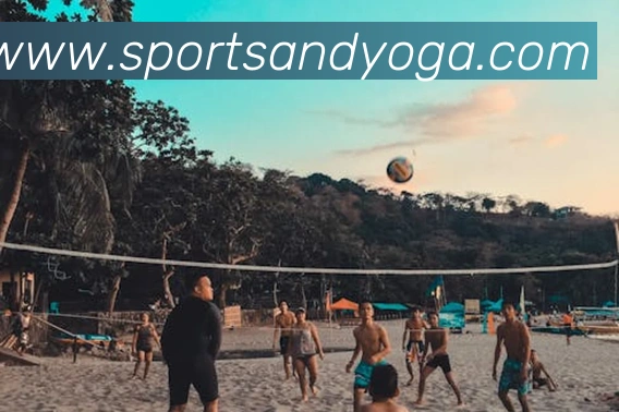 体育下注APP 封面图